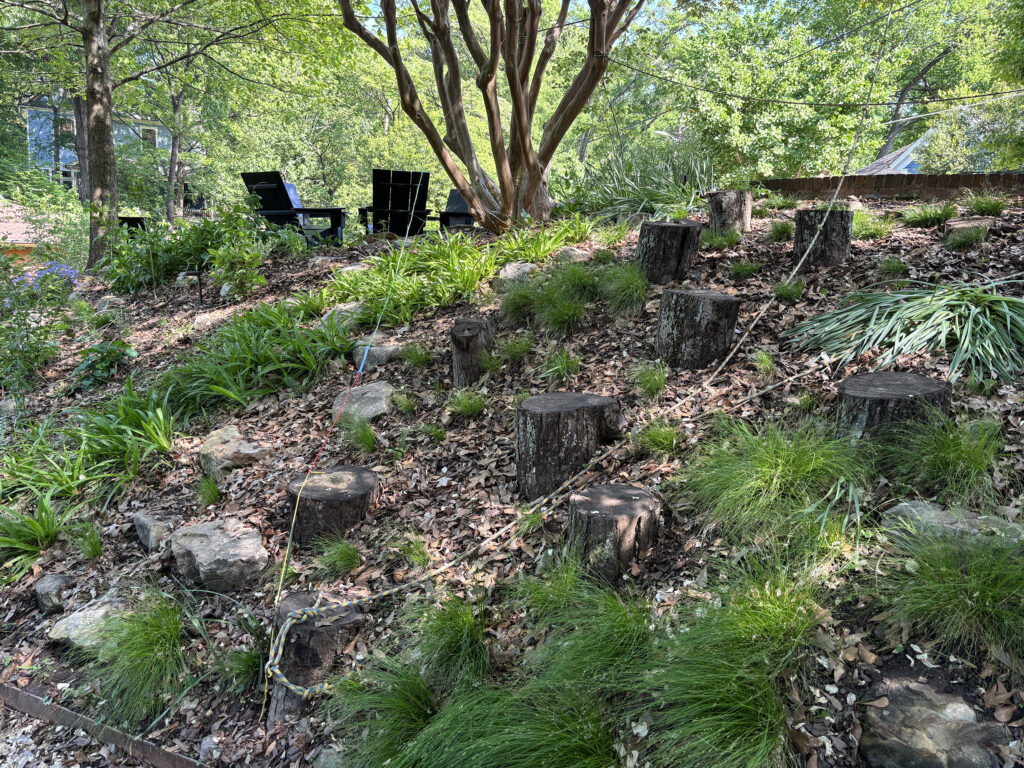 Section of Gordon Park with Stumps and Ropes for playing